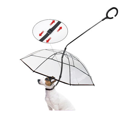 Transparent umbrella dog leash