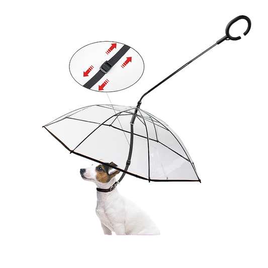 Transparent umbrella dog leash
