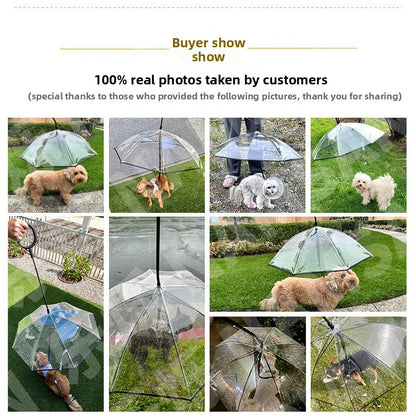 Transparent umbrella dog leash